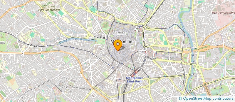 localisation de l'entreprise MONSIEUR VINCENT MALVILLE à MONTPELLIER