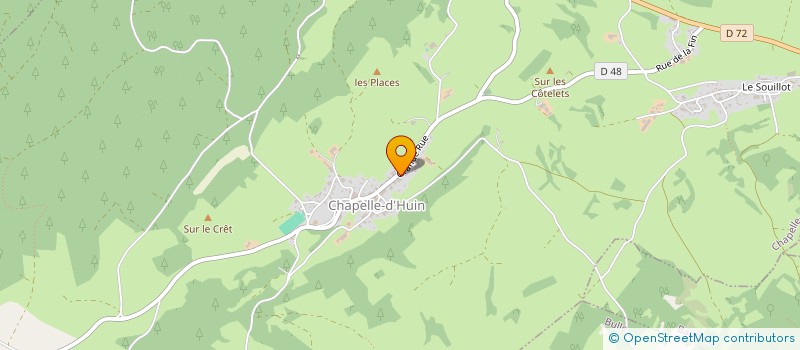 localisation de l'entreprise MONSIEUR VINCENT MARESCHAL  GEVRESIN