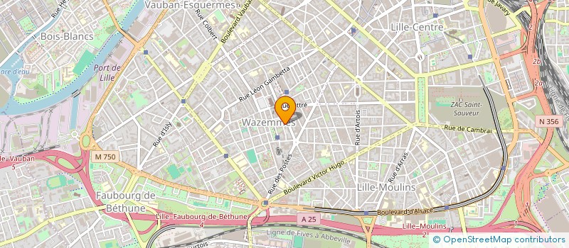 localisation de l'entreprise MONSIEUR VINCENT MASSA à LILLE