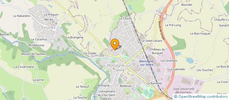 localisation de l'entreprise MONSIEUR VINCENT MERLET à SAINT-LAURENT-SUR-SEVRE