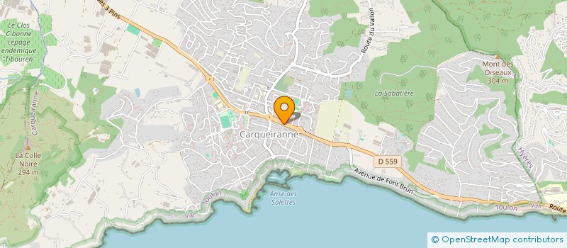 localisation de l'entreprise MONSIEUR VINCENT MESLARD  CARQUEIRANNE