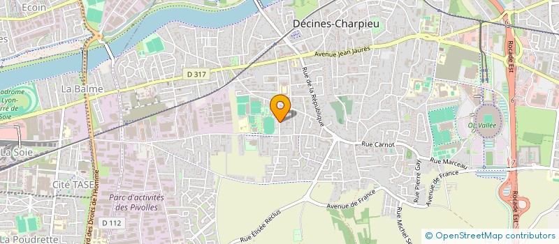 localisation de l'entreprise MONSIEUR VINCENT MICHAUD  DECINES-CHARPIEU