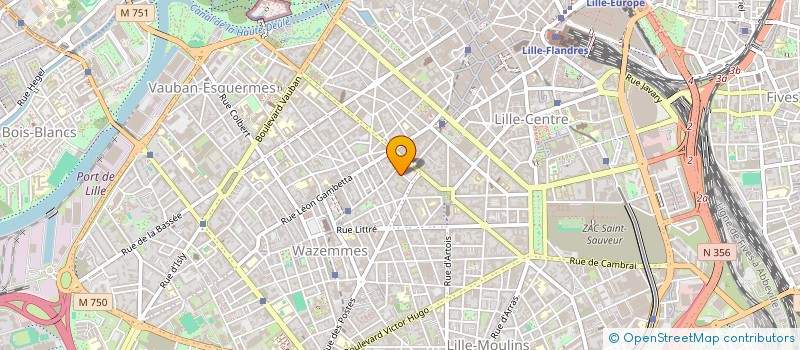 localisation de l'entreprise MONSIEUR VINCENT MICHELOT  LILLE