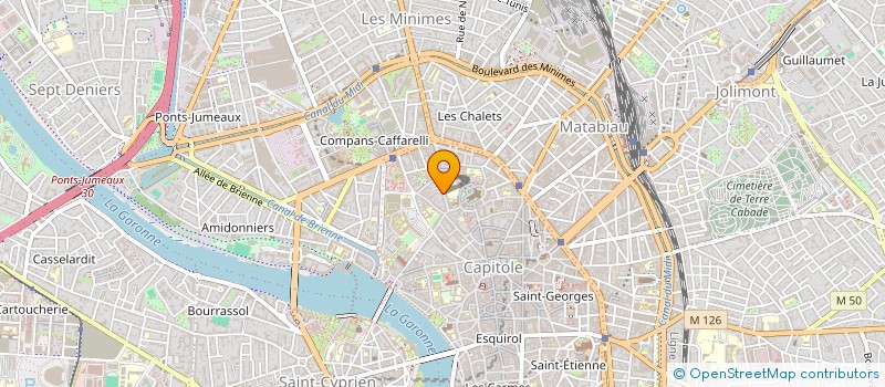 localisation de l'entreprise MONSIEUR VINCENT MONARD à TOULOUSE