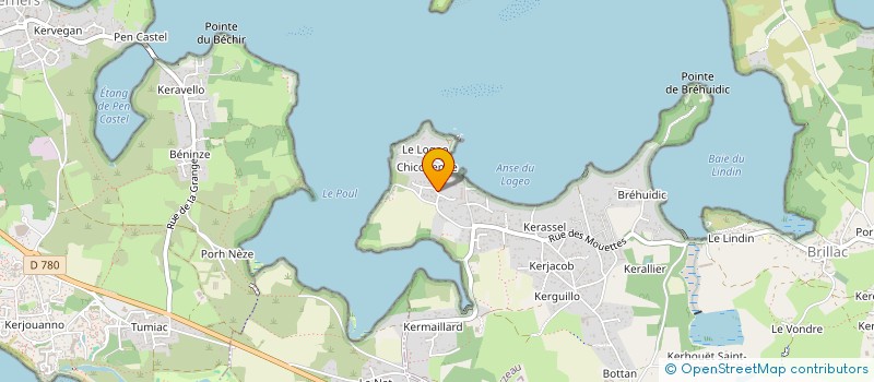 localisation de l'entreprise MONSIEUR VINCENT MONVIOLA  SARZEAU