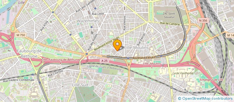 localisation de l'entreprise MONSIEUR VINCENT PAULIN à LILLE