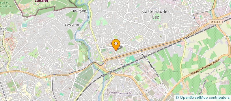 localisation de l'entreprise MONSIEUR VINCENT PEREZ à CASTELNAU-LE-LEZ