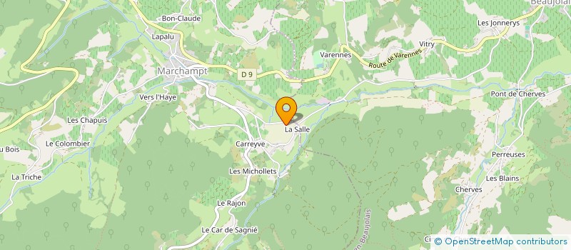 localisation de l'entreprise MONSIEUR VINCENT PIERRE ROYE  LYON