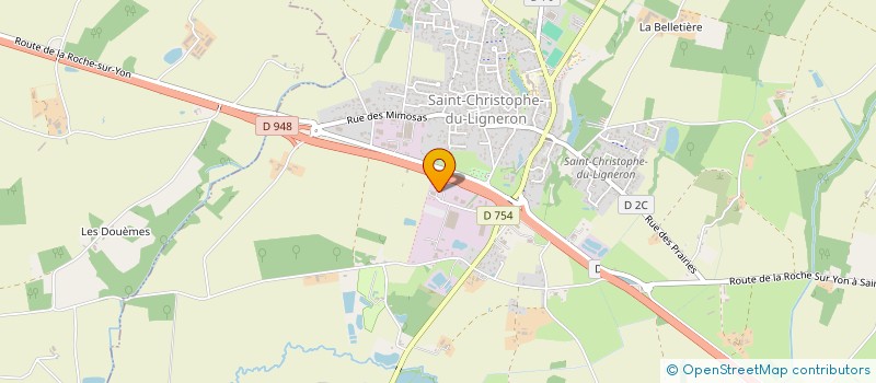 localisation de l'entreprise MONSIEUR VINCENT PINSON à SAINT-CHRISTOPHE-DU-LIGNERON