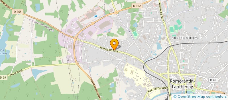 localisation de l'entreprise MONSIEUR VINCENT RAISIN  ROMORANTIN-LANTHENAY