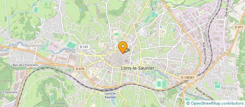 localisation de l'entreprise MONSIEUR VINCENT RIFFIOD à LONS-LE-SAUNIER