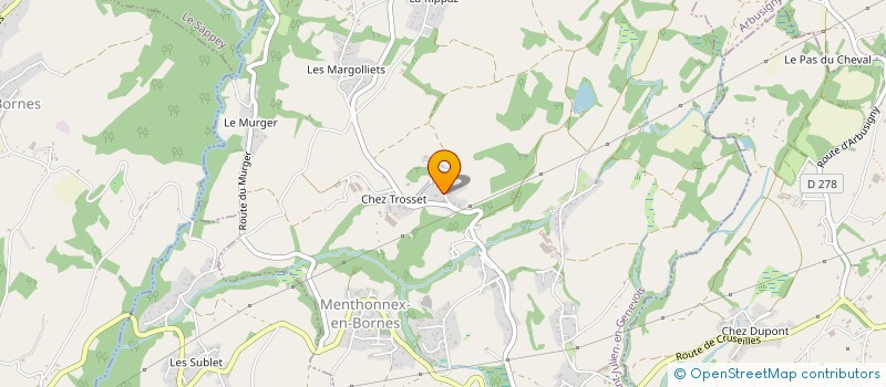 localisation de l'entreprise MONSIEUR VINCENT RIGARD  MENTHONNEX-EN-BORNES