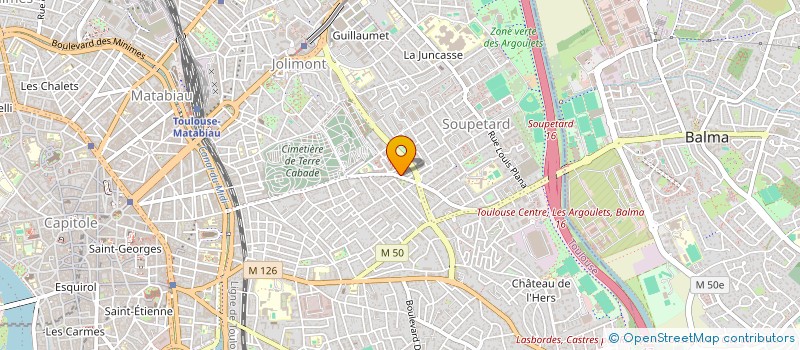 localisation de l'entreprise MONSIEUR VINCENT RIGAUD à TOULOUSE