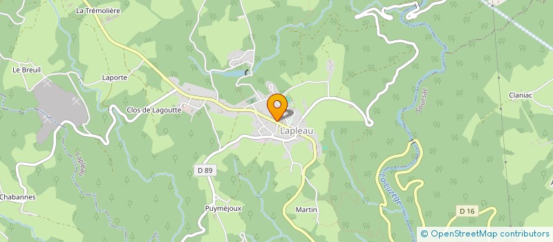 localisation de l'entreprise MONSIEUR VINCENT SAGEAUD  LAPLEAU