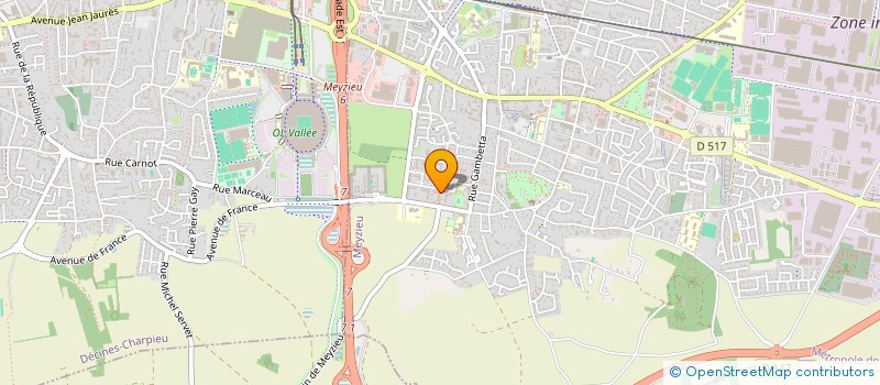 localisation de l'entreprise MONSIEUR VINCENT SALINAS  MEYZIEU