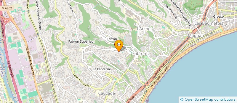 localisation de l'entreprise MONSIEUR VINCENT SUAVET  NICE