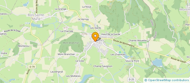 localisation de l'entreprise MONSIEUR VINCENT TITO  GIBLES