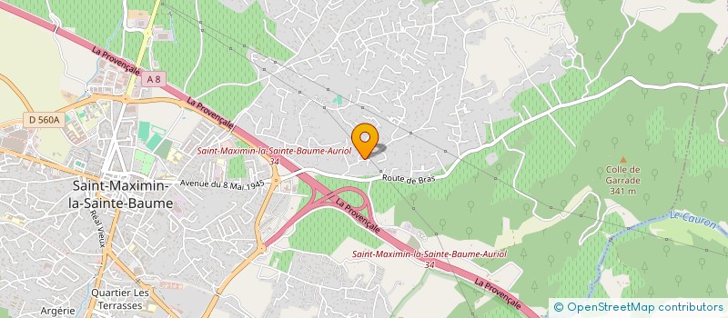 localisation de l'entreprise MONSIEUR VINCENT TOUCRO à SAINT-MAXIMIN-LA-SAINTE-BAUME