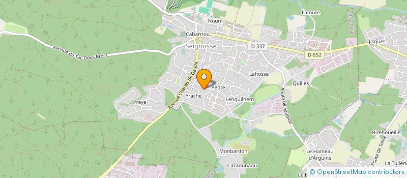 localisation de l'entreprise MONSIEUR VINCENT VIDOUDEZ  SEIGNOSSE