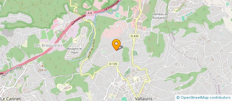 localisation de l'entreprise MONSIEUR VINCENT VITETTA  VALLAURIS