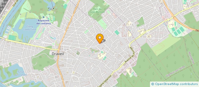localisation de l'entreprise MONSIEUR VIOLEN SCHIOPU à DRAVEIL