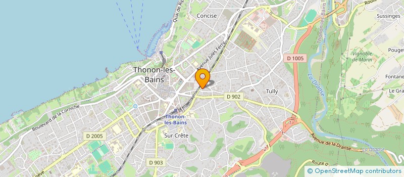 localisation de l'entreprise MONSIEUR VIOREL-ANDREI RAU  THONON-LES-BAINS