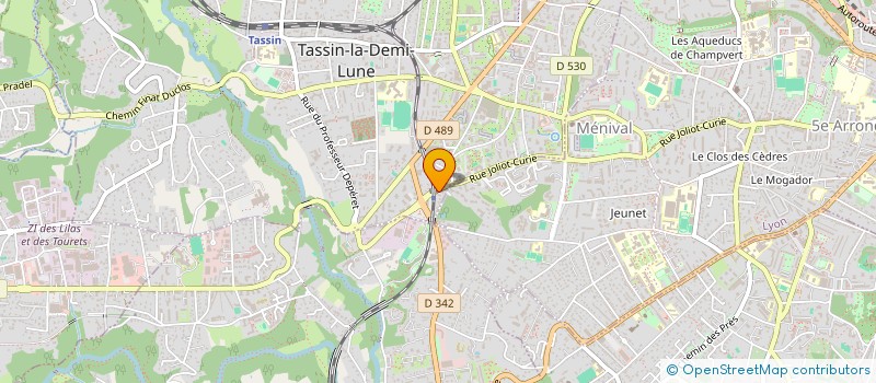 localisation de l'entreprise MONSIEUR VIOREL URSU  TASSIN-LA-DEMI-LUNE