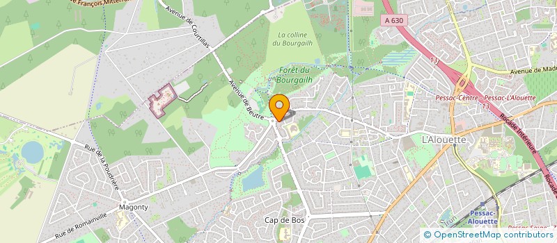 localisation de l'entreprise MONSIEUR VIOREL VORNICOI  PESSAC