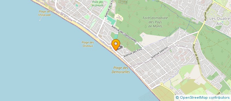 localisation de l'entreprise MONSIEUR VIRGIL DANAIS  SAINT-JEAN-DE-MONTS