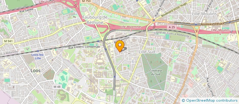 localisation de l'entreprise MONSIEUR VIRGIL KAKOLO à LILLE