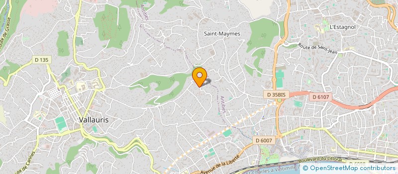 localisation de l'entreprise MONSIEUR VIRGILE AERTS  VALLAURIS