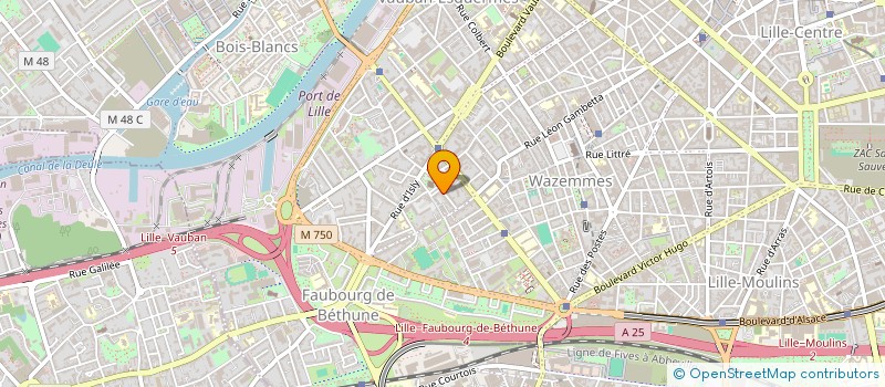 localisation de l'entreprise MONSIEUR VIRGILE COLAS à LILLE
