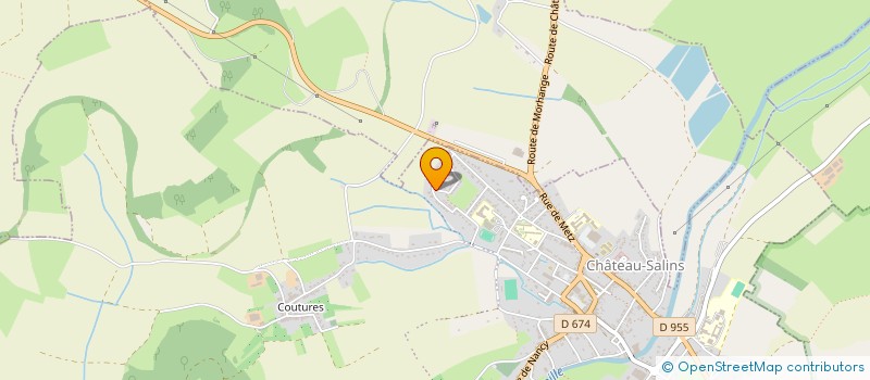 localisation de l'entreprise MONSIEUR VIRGILE JACOBE  CHATEAU-SALINS