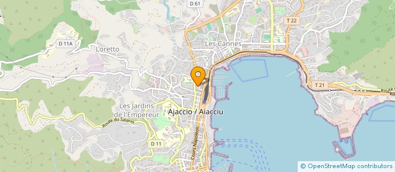 localisation de l'entreprise MONSIEUR VIRGILE LELONG à AJACCIO
