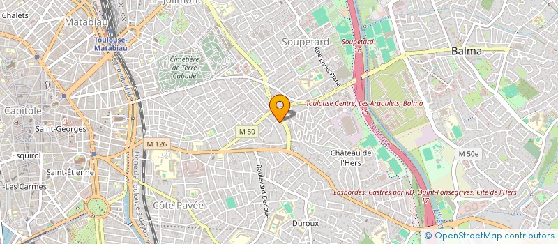 localisation de l'entreprise MONSIEUR VIRGILE RICART à TOULOUSE