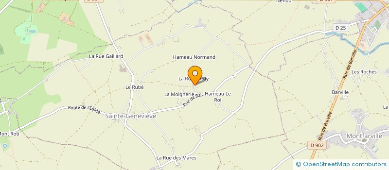 localisation de l'entreprise MONSIEUR VIRGINIE DORANGE  SAINTE-GENEVIEVE