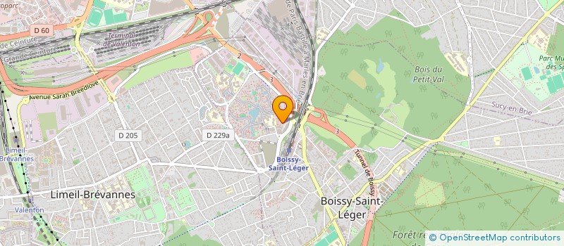 localisation de l'entreprise MONSIEUR VITALIE CHEPTINE à BOISSY-SAINT-LEGER