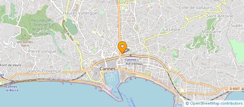 localisation de l'entreprise MONSIEUR VITALIE COITAN à CANNES