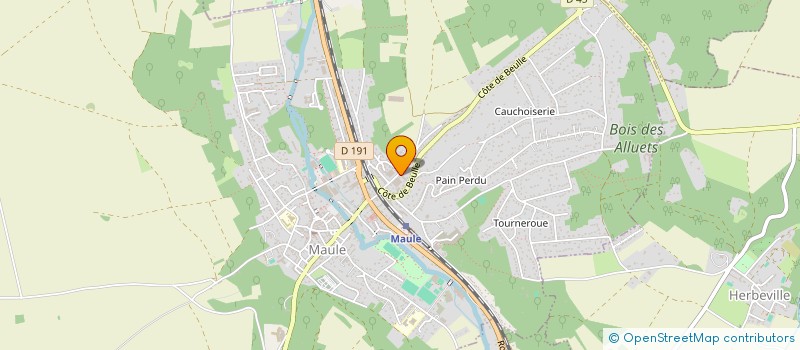 localisation de l'entreprise MONSIEUR VITALIE DEMIANIC  MAULE