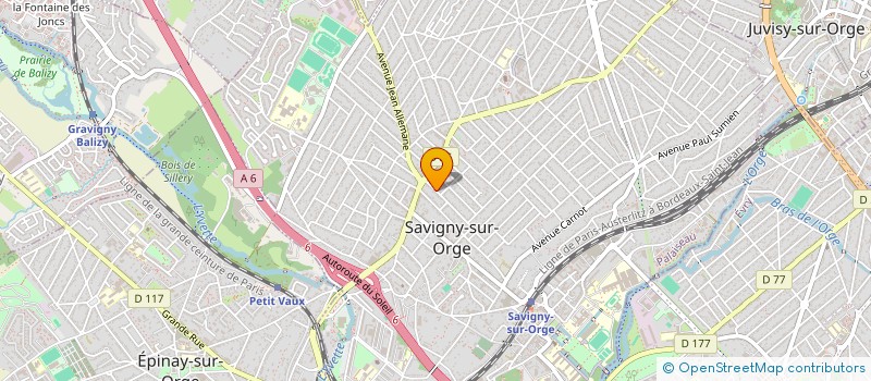 localisation de l'entreprise MONSIEUR VITALIE TOMAI  SAVIGNY-SUR-ORGE