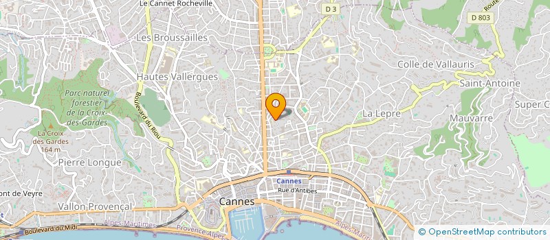 localisation de l'entreprise MONSIEUR VITALII KHOMIAK à CANNES