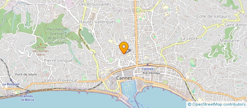 localisation de l'entreprise MONSIEUR VITALII PYRIZHOK à CANNES