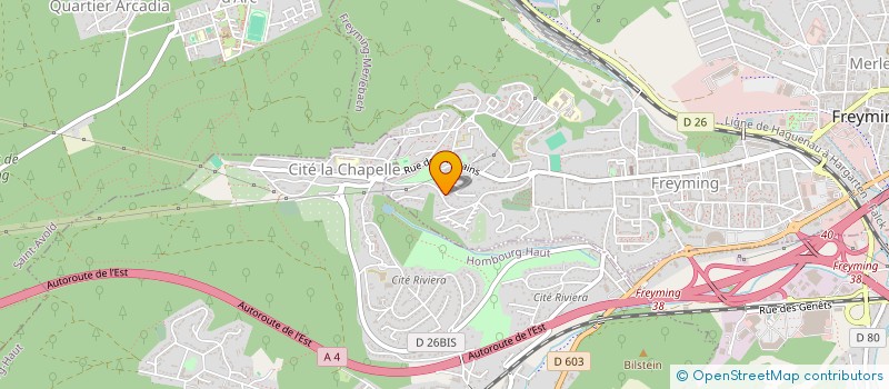 localisation de l'entreprise MONSIEUR VITO GIORDANO  FREYMING-MERLEBACH