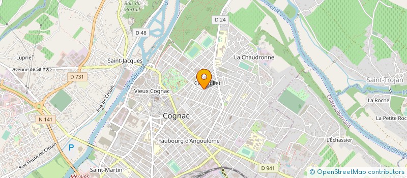 localisation de l'entreprise MONSIEUR VIVIEN BISSON à COGNAC