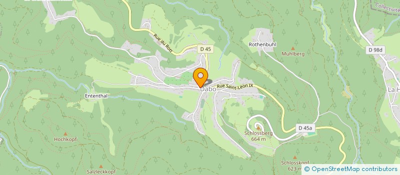 localisation de l'entreprise MONSIEUR VIVIEN DILLENSCHNEIDER  DABO