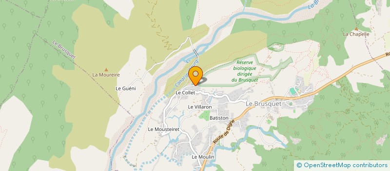 localisation de l'entreprise MONSIEUR VIVIEN LEYDET  LE BRUSQUET