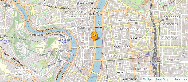 localisation de l'entreprise MONSIEUR VLADA KRIZAJ à LYON