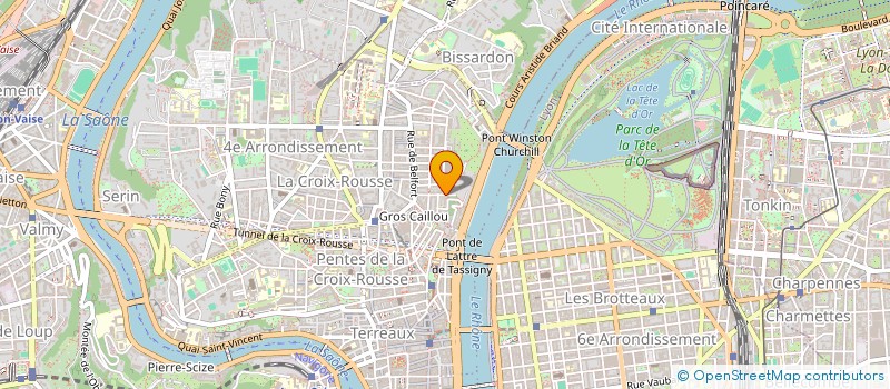 localisation de l'entreprise MONSIEUR VLADIMIR COLOVRAY  LYON