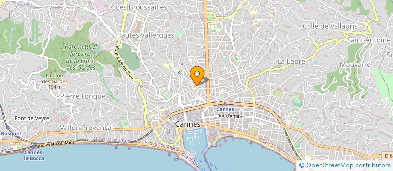 localisation de l'entreprise MONSIEUR VLADISLAV TKACHEV  CANNES