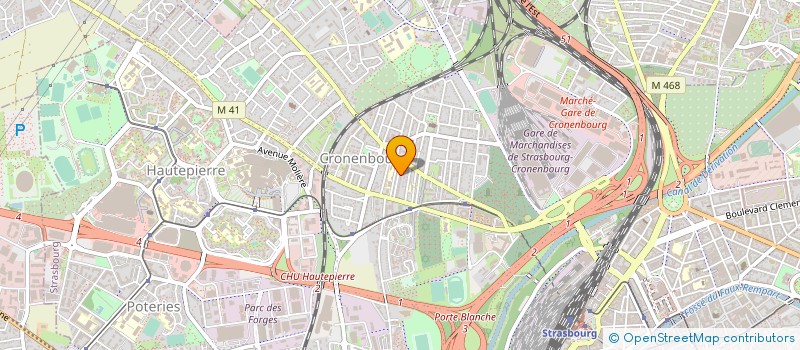 localisation de l'entreprise MONSIEUR VOLODYA MUSOYAN  STRASBOURG